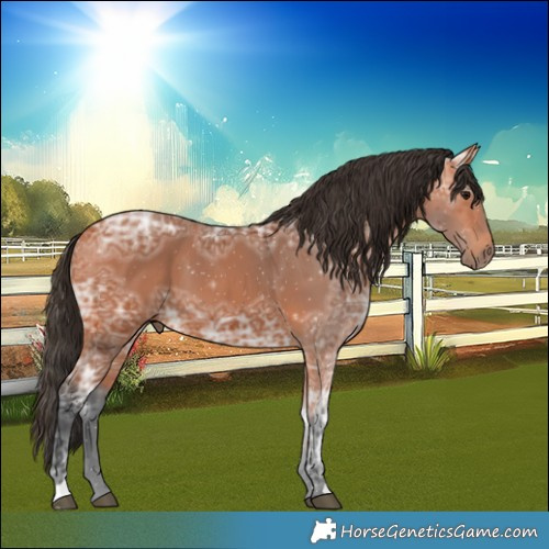 Horse Color:Bay Ice 