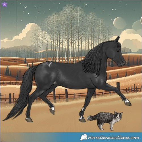 Horse Color:Black Varnish Rabicano