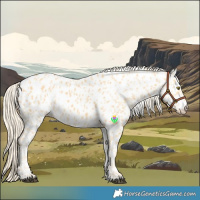 Horse Color:Palomino Near Leopard and Palomino Near Leopard