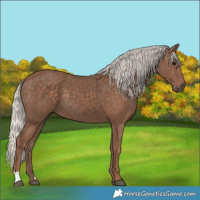 Horse Color:Silver Black 