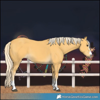 Horse Color:Palomino 