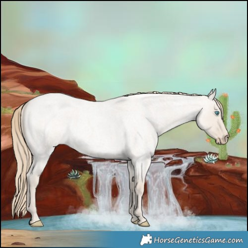 Horse Color:Smoky Creme Roan Dun