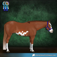 Horse Color:Chestnut Splash Frame 
