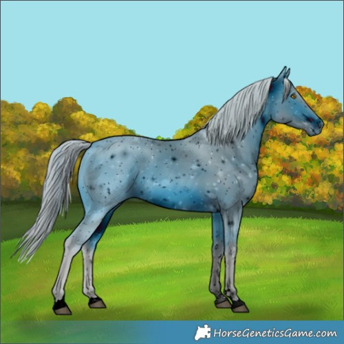 Horse Color:ERROR: UNKNOWN ANOMALY