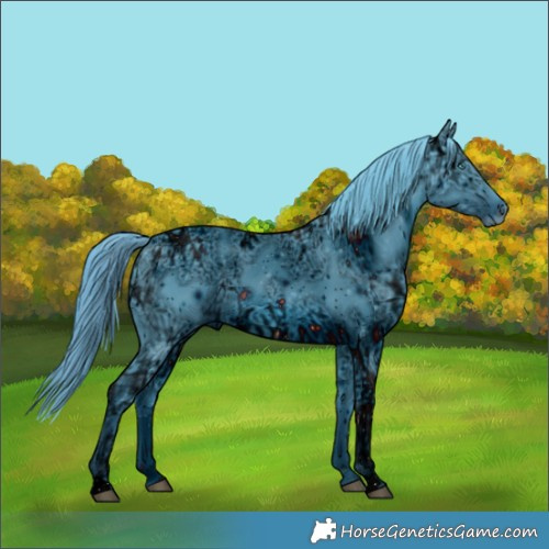 Horse Color:ERROR: UNKNOWN ANOMALY