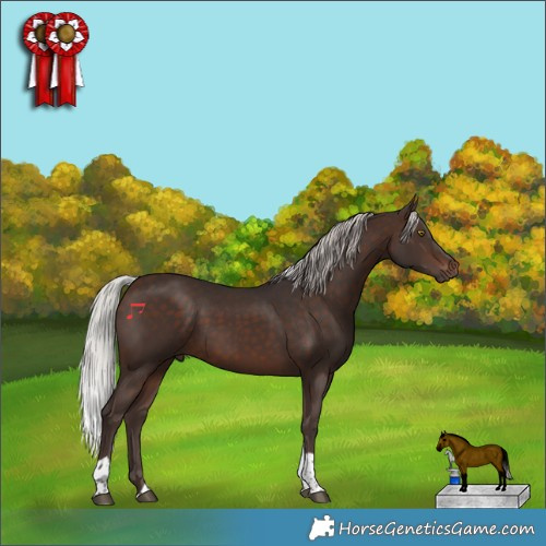 Horse Color:Silver Brown Tobiano 
