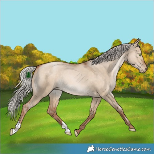 Horse Color:Silver Bay Pearl Dun