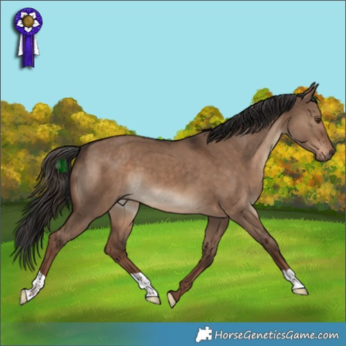 Horse Color:Liver Red Dun