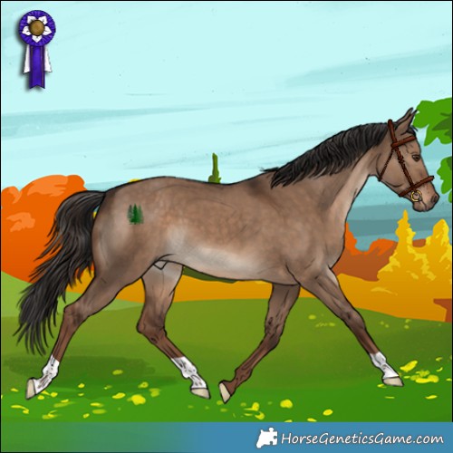 Horse Color:Liver Red Dun 