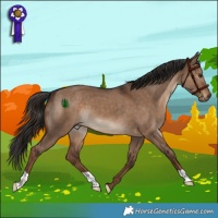 Horse Color:Liver Red Dun 
