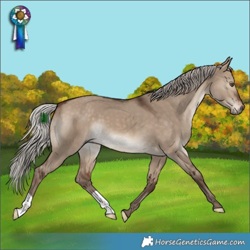 Horse Color:Silver Bay Dun