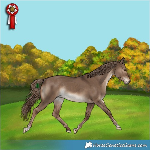 Horse Color:Liver Red Dun Rabicano