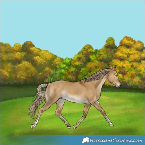 Horse Color:Chocolate Palomino Dun Rabicano