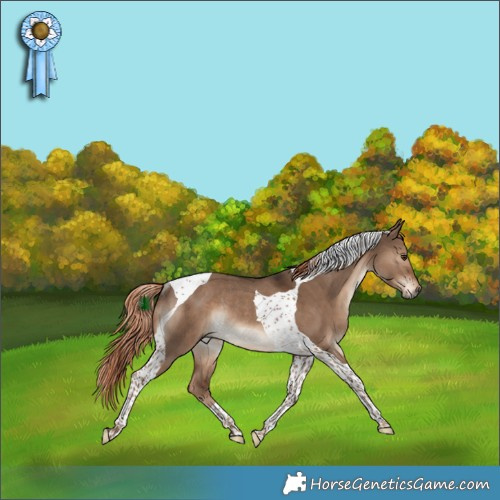 Horse Color:Liver Red Dun Tobiano Rabicano