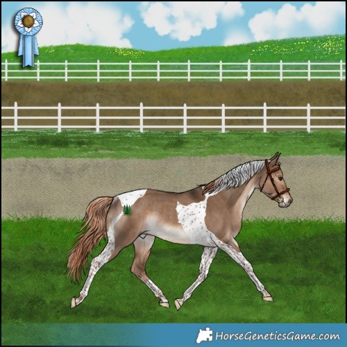 Horse Color:Liver Red Dun Tobiano Rabicano 