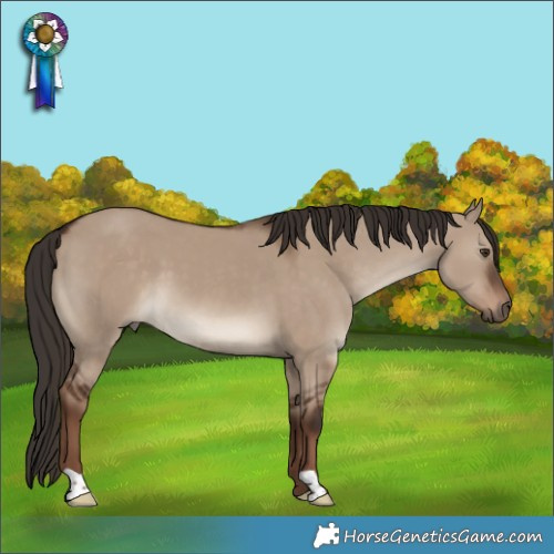 Horse Color:Liver Red Dun 