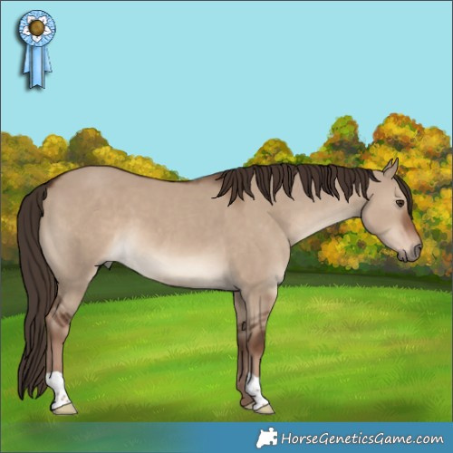 Horse Color:Liver Red Dun