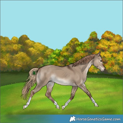 Horse Color:Liver Red Dun