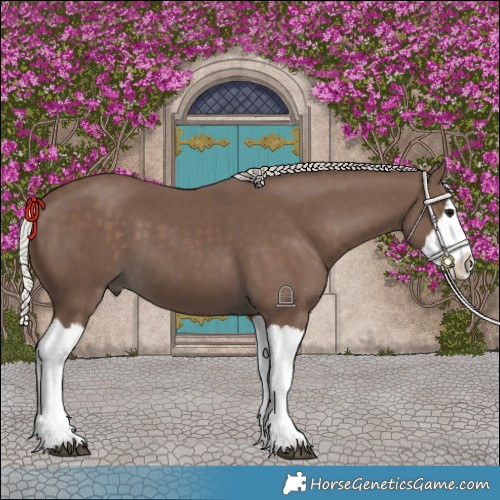 Horse Color:Silver Black Splash 
