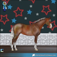 Horse Color:Silver Bay Varnish Rabicano