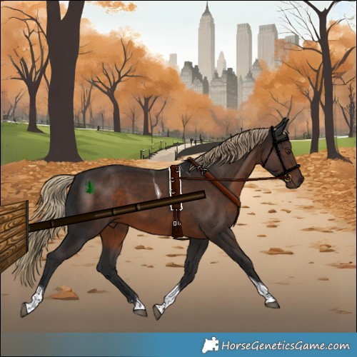 Horse Color:Liver Chestnut Tobiano