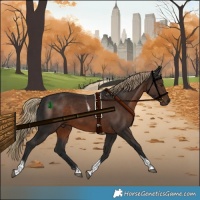 Horse Color:Liver Chestnut Tobiano 