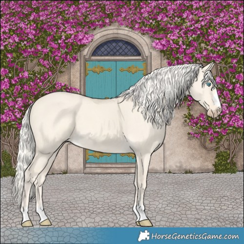 Horse Color:Cremello Dun 