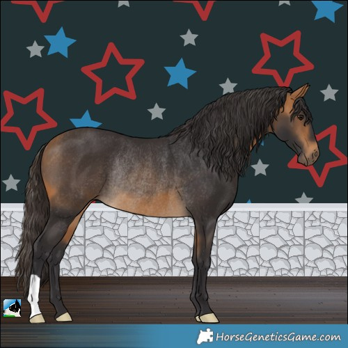 Horse Color:Buckskin Rabicano