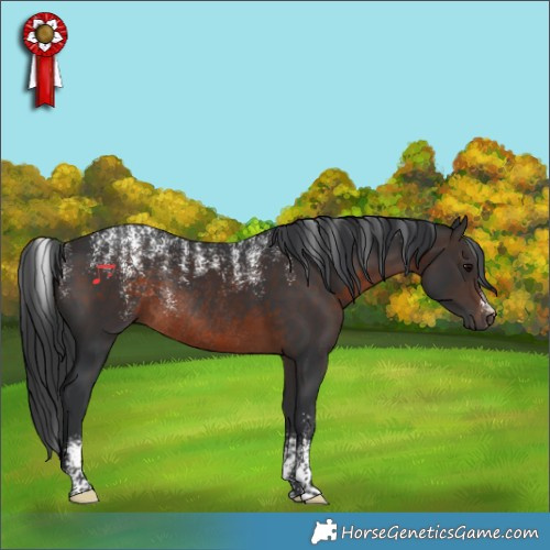 Horse Color:Powder White Brown Rabicano