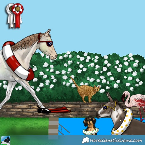 Horse Color:Buckskin Roan Snowdrop Tobiano Varnish Rabicano