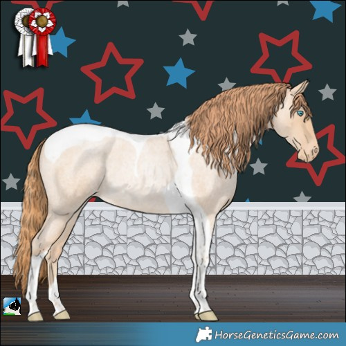 Horse Color:Buckskin Roan Snowdrop Tobiano Appaloosa Rabicano