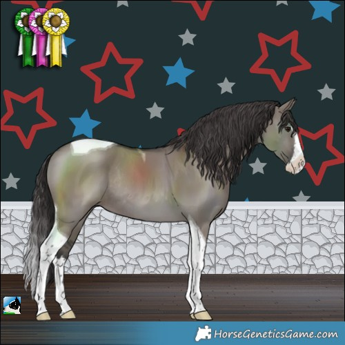 Horse Color:Smoky Grullo Splash Tobiano Rabicano 