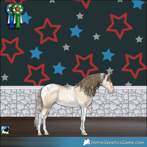 Horse Color:Smoky Grullo Pearl Tobiano Rabicano 