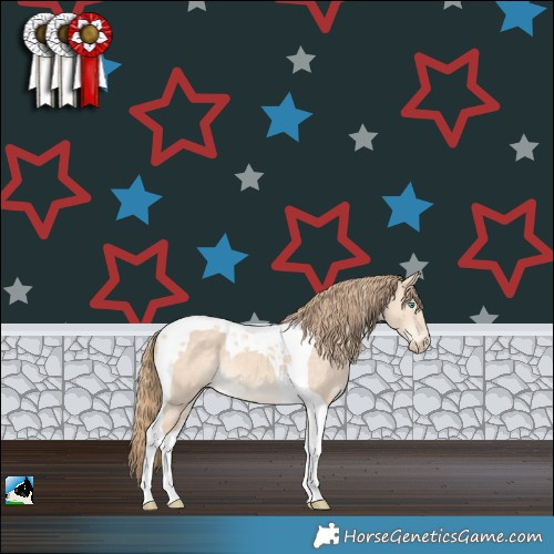 Horse Color:Perlino Dun Tobiano 