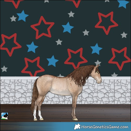 Horse Color:Brown Pearl Dun Rabicano 