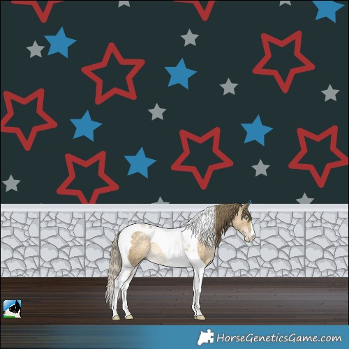 Horse Color:Buckskin Pearl Tobiano Rabicano