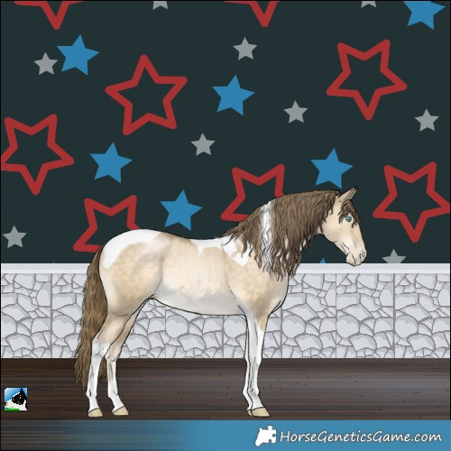 Horse Color:Buckskin Pearl Dun Tobiano Rabicano