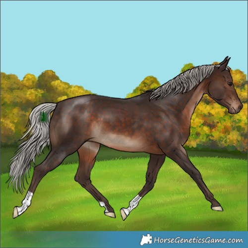 Horse Color:Silver Brown