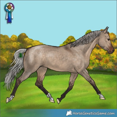 Horse Color:Silver Brown Dun