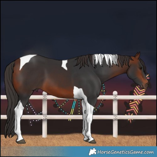 Horse Color:Bay Tobiano 