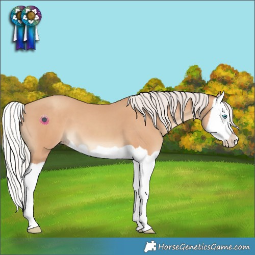 Horse Color:Silver Classic Champagne Splash