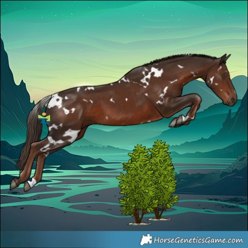Horse Color:White Spotted Liver Chestnut 