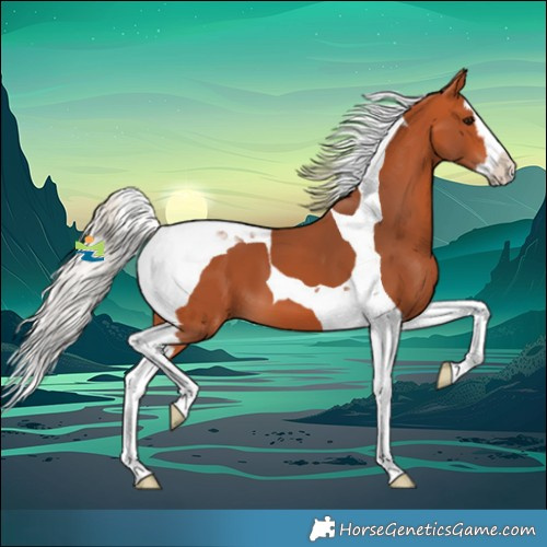 Horse Color:Silver Bay Splash Tobiano