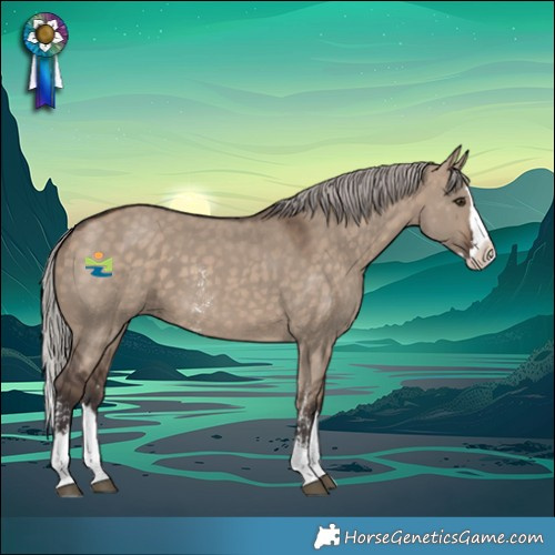 Horse Color:Silver Brown Dun Sabino Splash
