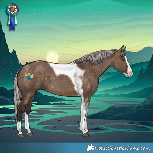Horse Color:Silver Brown Dun Splash Tobiano
