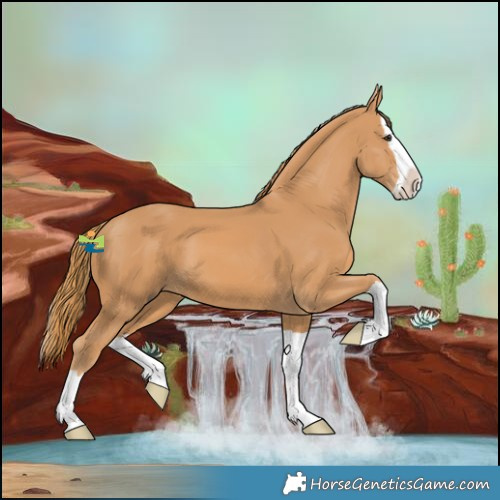 Horse Color:Chestnut Splash