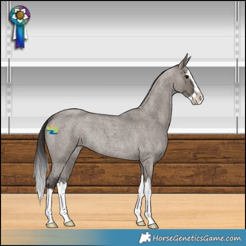 Horse Color:Smoky Grullo Roan Splash