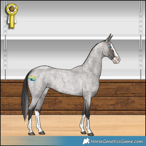 Horse Color:Smoky Grullo Roan Splash