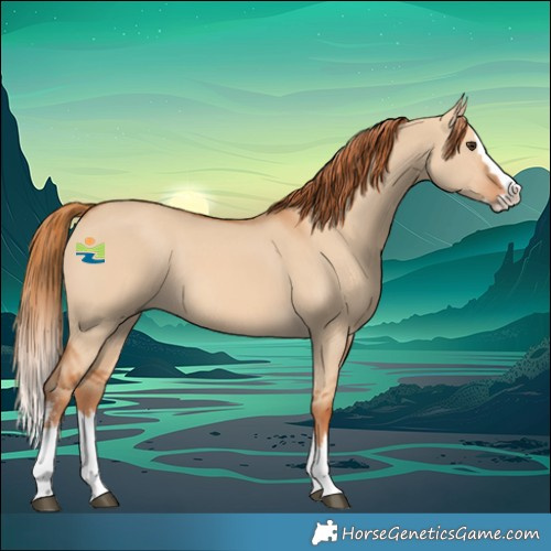 Horse Color:Red Dun Sabino Splash Rabicano