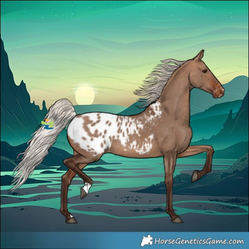 Horse Color:Silver Bay Dun Blanket Rabicano